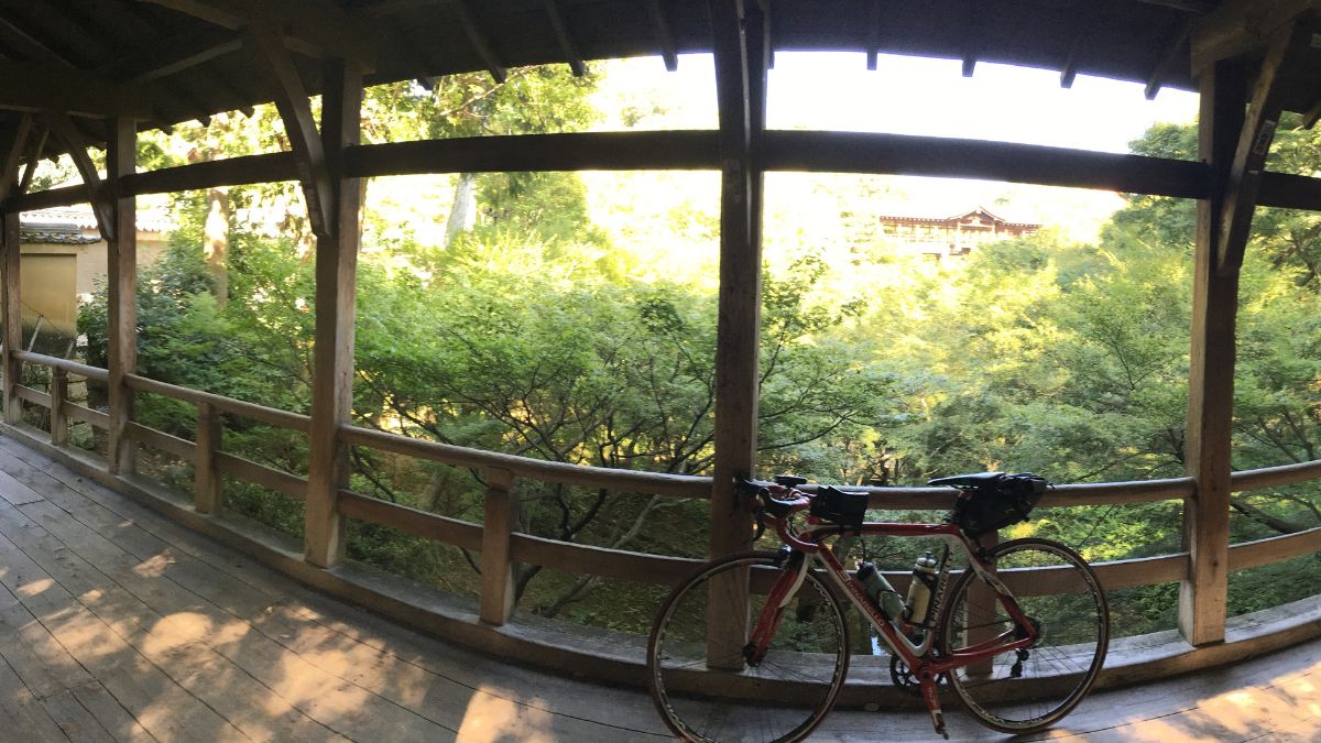 東福寺の木造橋「臥雲橋」と鮮やかな新緑を背景に休む、赤と白のロードバイク(ピナレロ)。走りやすい淀川沿いのルートなどで古都を目指す、初心者の長距離ソロライド風景。安全な装備の参考にもなる自転車旅のワンシーン。